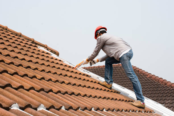 Best Roof Repair  in Rittman, OH
