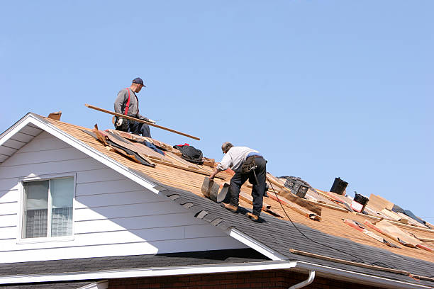 Best Skylight Installation and Repair  in Rittman, OH